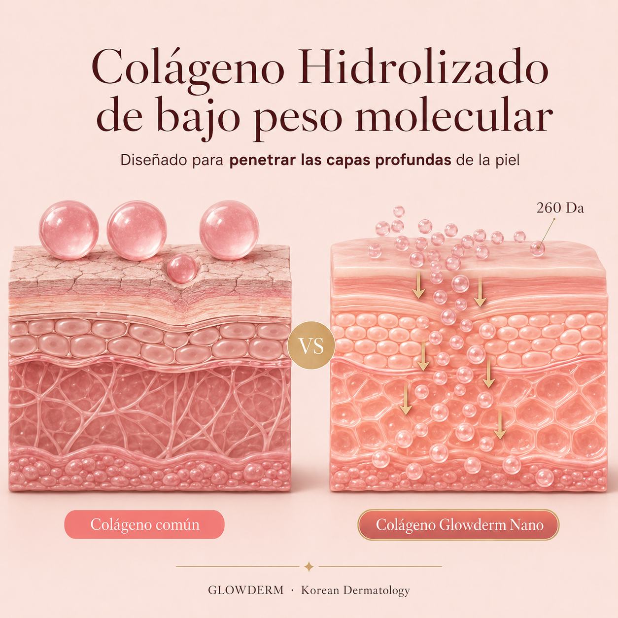 GLOWDERM® | CREMA ANTIARRUGAS COREANA
